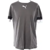 Puma Teamrise Trikot Kurzarm Herren - Grau