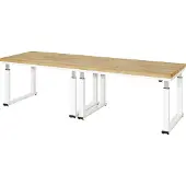 RAU Werkbank elektrisch höhenverstellbar, B3000xT900xH740-1140mm, B-Platte-40 mm