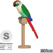 Jekca Bricks Green Cheek Conure 01S-M01 ST19MA20-M01