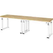RAU Werkbank elektrisch höhenverstellbar, B3000xT700xH740-1140mm, B-Platte-40 mm