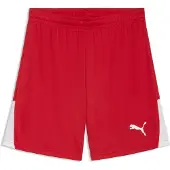 Puma Shorts Liga