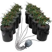 Vevor DWC Hydroponics Grow System