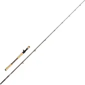 Abu Garcia Beast Pro2 Baitcastrute