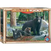 Eurographics Puzzle 6000-0793 - Neue Entdeckungen von Kevin Daniel - 1000 Teile