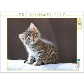 CALVENDO Puzzle Zauberblick | 1000 Teile Lege-Größe 64x48cm Foto-Puzzle für glückliche Stunden