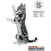 Jekca Bricks American Shorthair Cat 05S-M01 ST19ASC05-M01