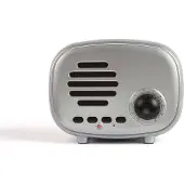Livoo Lautsprecher Bluetooth FM-Radio Mini-Retro mit Mikro Akku TES202S silber