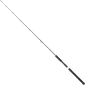 Daiwa Legalis Slow Jigging Rute