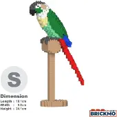 Jekca Bricks Green Cheek Conure 01S-M02 ST19MA20-M02