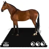 Floordirekt Puzzle-Stallmatte Pontiac aus Gummi 122x182 cm Zweiseitiges Interlocking