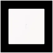Busch-Jaeger 1789 N-44M, Weiß, Thermoplast, Schraubenlos, , Matte, IP20