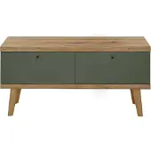 Lomadox Wohnzimmer TV-Lowboard, 107cm, in Eiche mit grün AVEZZANO-61 Modern