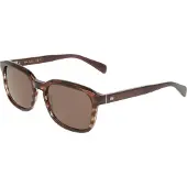 Paul Smith PS26600S PARFETT Transparent striped wine 55/18/145 Herren Sonnenbrillen