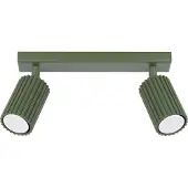 Licht-Erlebnisse Deckenspot Esszimmer Grün 2 flammig verstellbar GU10 30 cm Deckenstrahler Küche