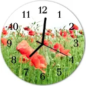 Tulup Glasuhr Wanduhr Küchenuhr Echt-Glas 30fi cm Mohnblumen rot grün