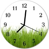 Tulup Glasuhr Wanduhr Küchenuhr Echt-Glas 30fi cm Gras grün