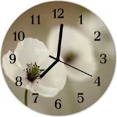 Tulup Glasuhr Wanduhr Küchenuhr Echt-Glas 30fi cm Mohn weiß