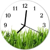 Tulup Glasuhr Wanduhr Küchenuhr Echt-Glas 30fi cm Gras grün