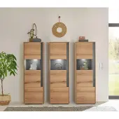 Empinio24 Wohnwand Eiche 190 cm 3-teilig Nr 17 mit Beleuchtung Boston