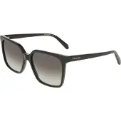 Salvatore Ferragamo Ferragamo SF2102S Black 57/16/145 Damen Sonnenbrillen