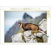 CALVENDO Puzzle Gämse | 1000 Teile Lege-Größe 64x48cm Foto-Puzzle für glückliche Stunden