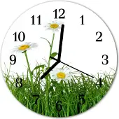 Tulup Glasuhr Wanduhr Küchenuhr Echt-Glas 30fi cm Margeriten grün