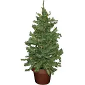 Idena LED-Dekobaum / Weihnachtsbaum / Höhe: ca. 55cm / mit35 warmweissen LED's