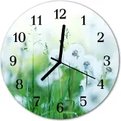 Tulup Glasuhr Wanduhr Küchenuhr Echt-Glas 30fi cm Wiese grün