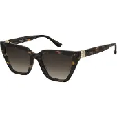 Pierre Cardin P.C. 8549/S Havana 54/17/145 Damen Sonnenbrillen