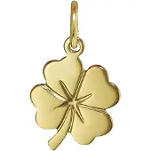 Trendor 21643 Kleeblatt Anhänger Gold 333/8K 14x10 mm