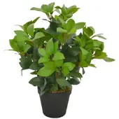 Furnicato Künstliche Pflanze Lorbeerbaum mit Topf Grün 40 cm