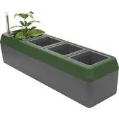 Bio Green BioGreen Fensterbank-Kräuterbeet Provence Kunststoff 42 x 12 x 11 cm grau-grün GFMb2c28b819