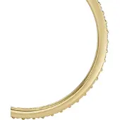 Fossil Jewelry