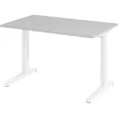 Hjh OFFICE PRO XTRA XB 12 WW - Grau 120 x 80 höhenverstellbar