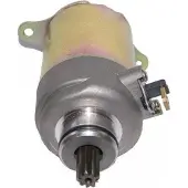 Untimero ANLASSER Starter für Flex TECH Piacenza 125