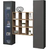 Freiraum Wohnwand >Benevent< (3-teilig) in Anthrazit matt - 170x180x30 (BxHxT)