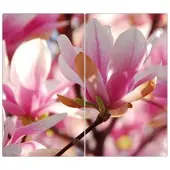 Banjado Herdabdeckplatte Glas 2 Teilig Je 30x52CM Schneidebrett Herdabdeckung Mit Motiv Magnolia
