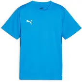 Puma Fußballtrikot "TEAMGOAL JERSEY JR" für Jugendliche, Fußball, Kurzarm, sportlicher Stil