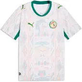 Puma Herren Trikot Senegal FSF WM 2026 Heim