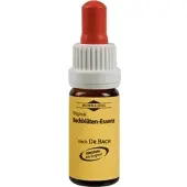 KLOSTERFRAU Bachblüten Murnauer Water Violet Tropfen 20 ml