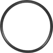 SEB X1010007, Dichtring, Schwarz