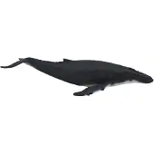MOJO Fun Humpback Whale, 3 Jahr(e), SEALIFE, Grau, Weiß, Polyvinylchlorid (PVC)
