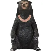 Animal planet Malaienbär