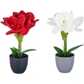 Creativ Green Kunstblume "Amaryllis" mit traumhaft schöner Blüte