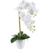 Creativ Green Kunstorchidee "Orchidee Phalaenopsis", weiß, H:56cm, Kunststoff, Kunstpflanzen, Kunstorchidee, mit real-touch-Blüten