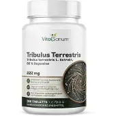 VitaSanum - Tribulus Terrestris 222 mg 3 360 St Tabletten