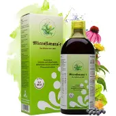 BDS GmbH biologische und diätetische Spezialitäten Microflorana F Fluid 500 ml