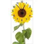 Wallario Design Wanduhr Sonnenblume aus Echtglas, Größe 30 x 60 cm