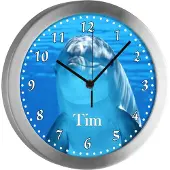 CreaDesign Kinderzimmer Funkwanduhr, Funkuhr Wanduhr Kinder, Delfin 25 cm