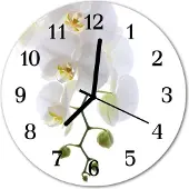 Tulup Glasuhr Wanduhr Küchenuhr Echt-Glas 30fi cm Orchidee weiß